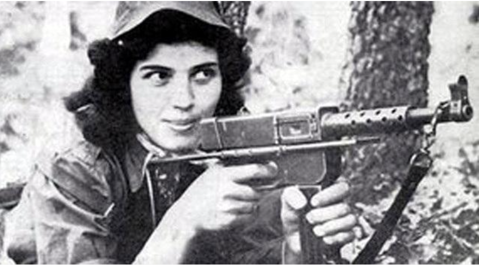 Şoreşa Gel: Berxwedana Cezayîrê