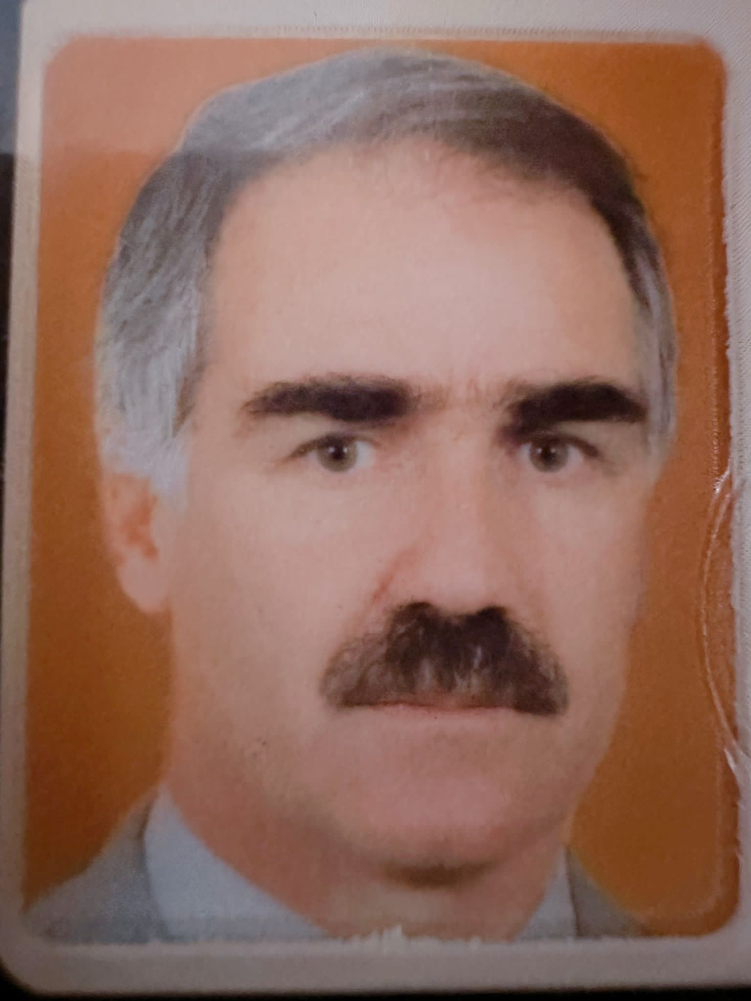 Cibranli Halit Beyin Hayatı ve Davası Üzerine Notlar