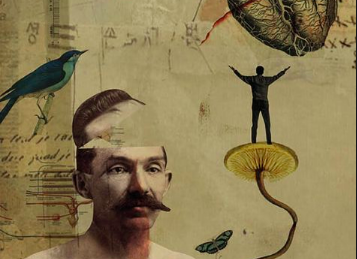 ekran_resmi_2021-06-13_00.35.12