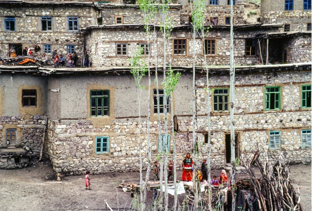 dagkoyu