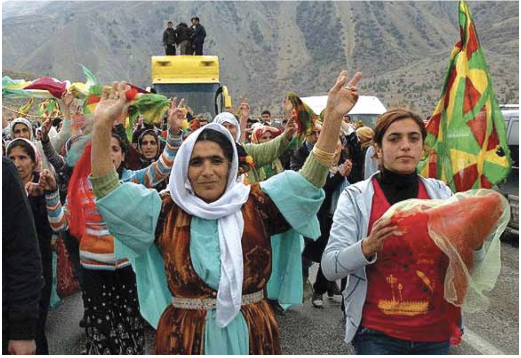 Kürt Kadını ve Siyaset*