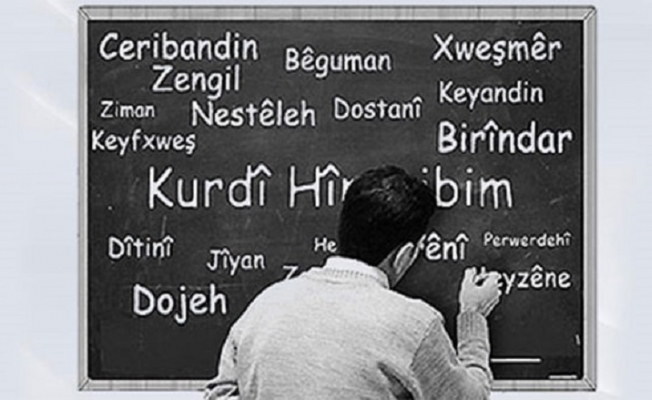 Bir imkan olarak Kürt akademisi üzerine